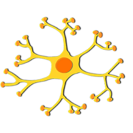 neuron