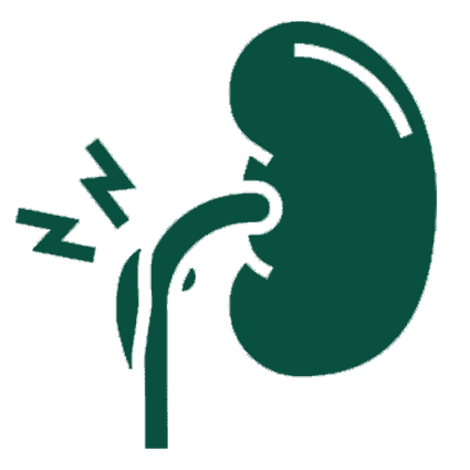nephrotic-syndrome