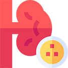 kidney