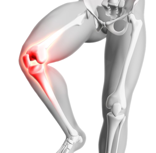 knee pain ayurvedic treatment