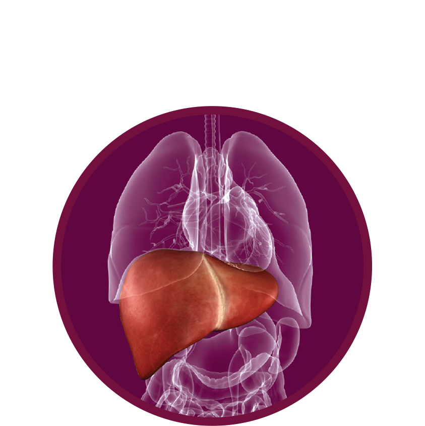 karma ayurvedic treatment