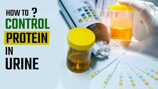 how-to-reduce-protein-in-urine