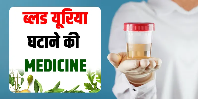 ब्लड-यूरिया-घटाने-की-medicine