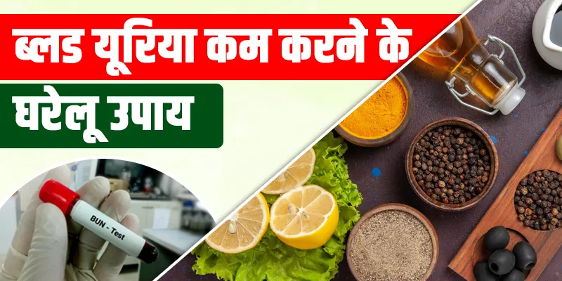ब्लड-यूरिया-कम-करने-के-घरेलू-उपाय