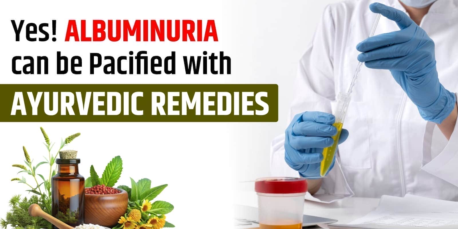 ayurvedic-treatment-for-albuminuria