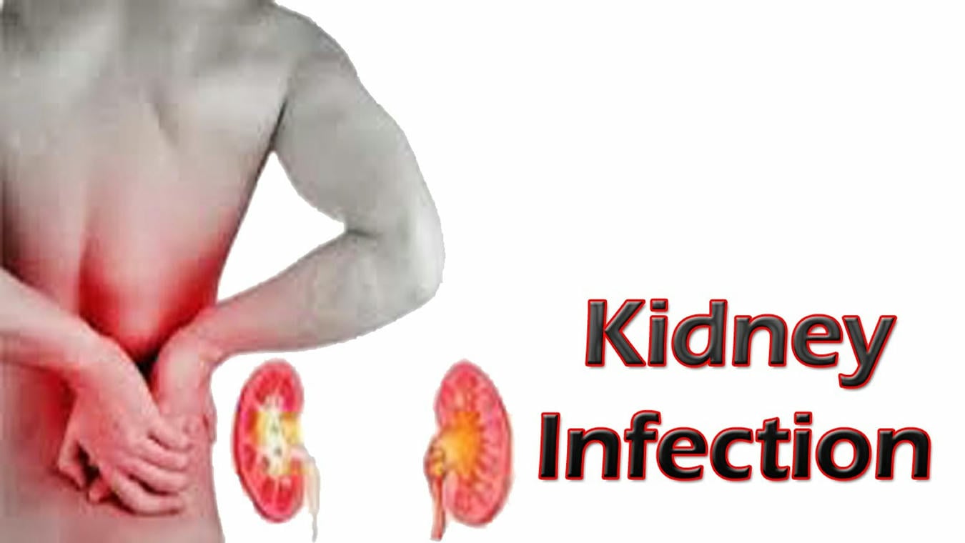 ayurvedic-for-kidney-health