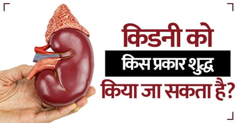किडनी-मजबूत-करने-के-घरेलू-उपाय-क्या-हैं
