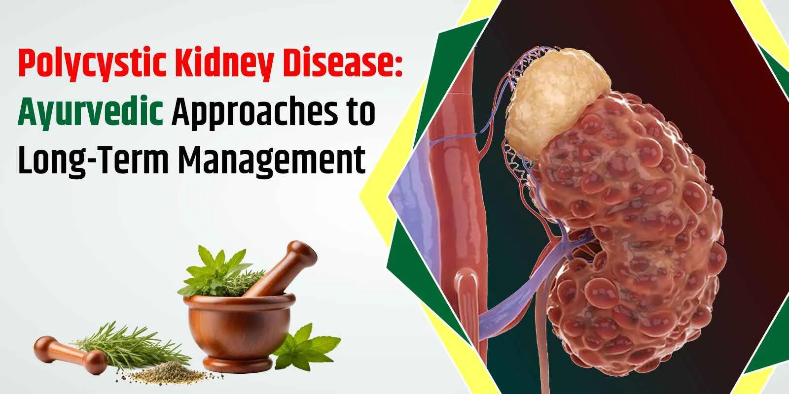 polycystic-kidney-control-medicines-in-ayurveda
