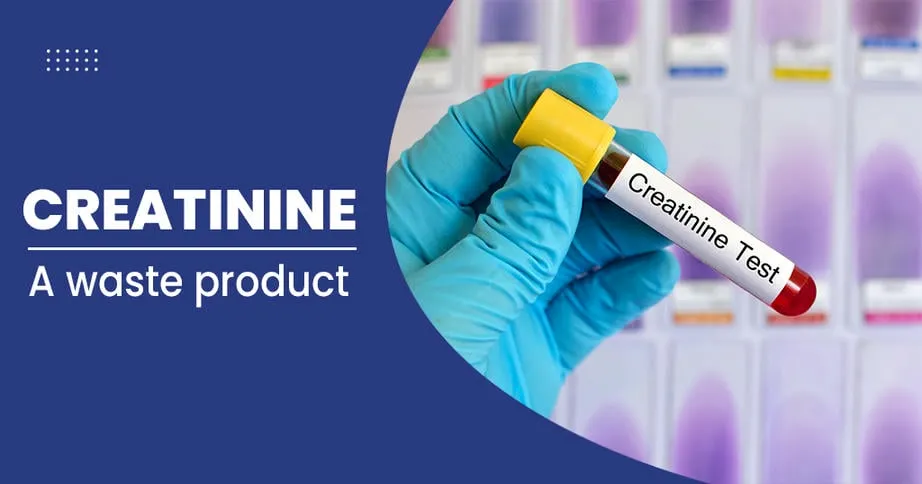 Top 5 Creatinine Control Medicines in Ayurveda