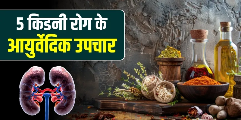 किडनी-रोग-के-5-आयुर्वेदिक-उपचार