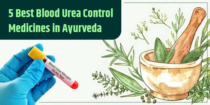 5 Best Blood Urea Control Medicines in Ayurveda