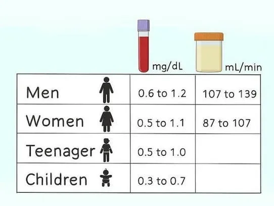 ayurvedic-medicine-for-creatinine