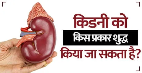 किडनी डिटॉक्स के घरेलू उपाय