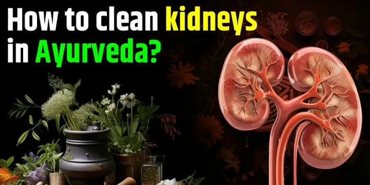 How to clean kidneys in Ayurveda?