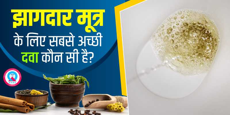 झागदार-मूत्र-के-लिए-सबसे-अच्छी-दवा-कौन-सी-है