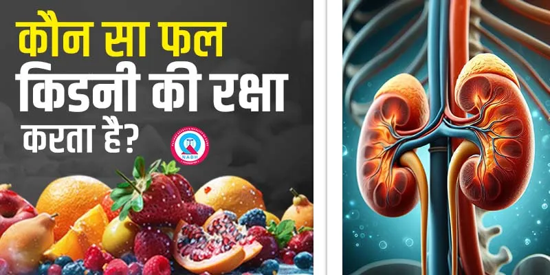 कौन-सा-फल-किडनी-की-रक्षा-करता-है