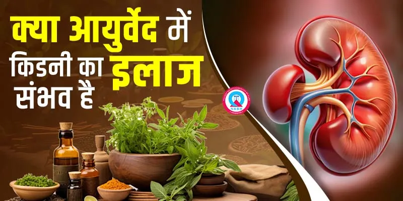 क्या-आयुर्वेद-में-किडनी-का-इलाज-संभव-है