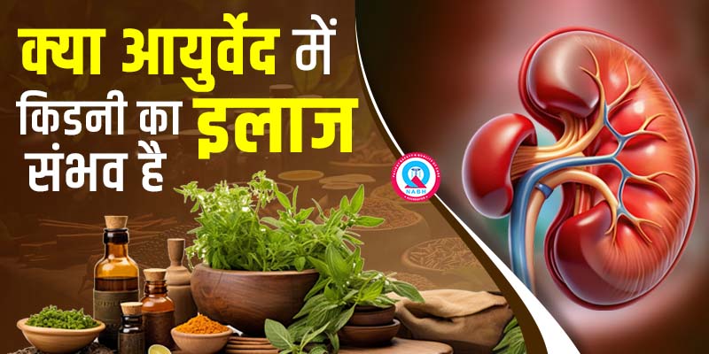 क्या-आयुर्वेद-में-किडनी-का-इलाज-संभव-है