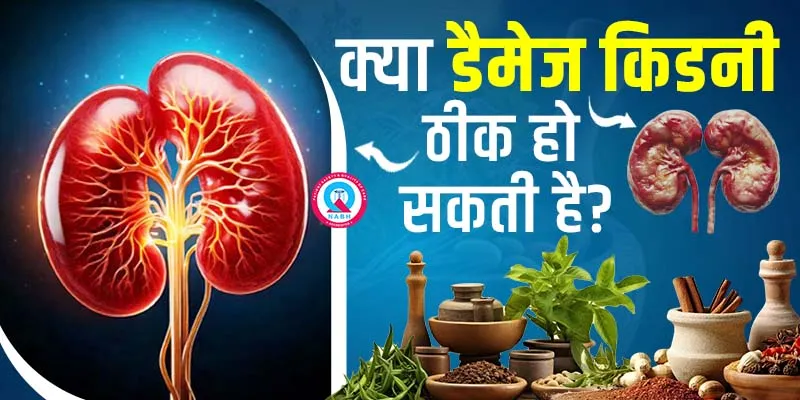 क्या-डैमेज-किडनी-ठीक-हो-सकती-है