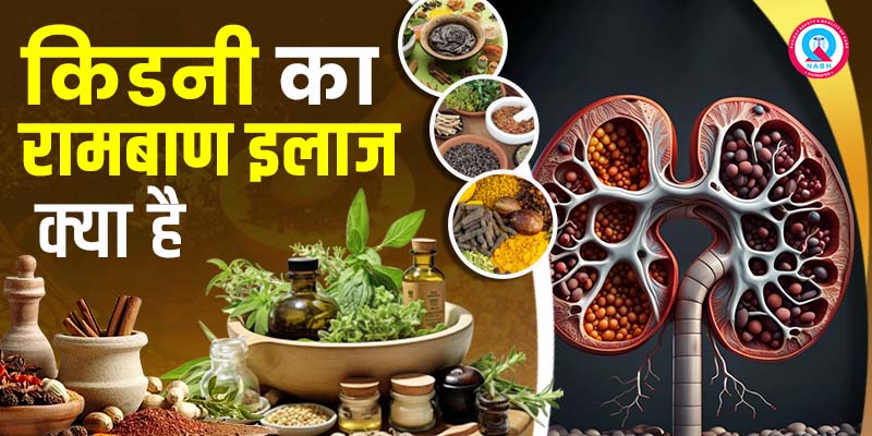 किडनी-का-रामबाण-इलाज-क्या-है