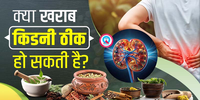 क्या-खराब-किडनी-ठीक-हो-सकती-है