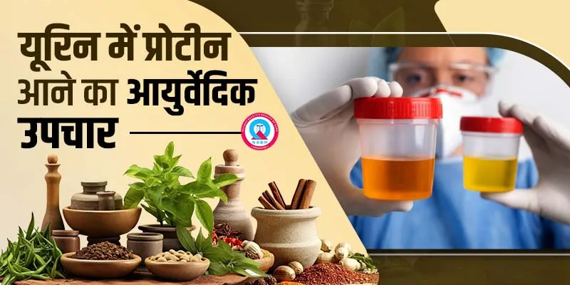 यूरिन-में-प्रोटीन-आने-का-आयुर्वेदिक-उपचार