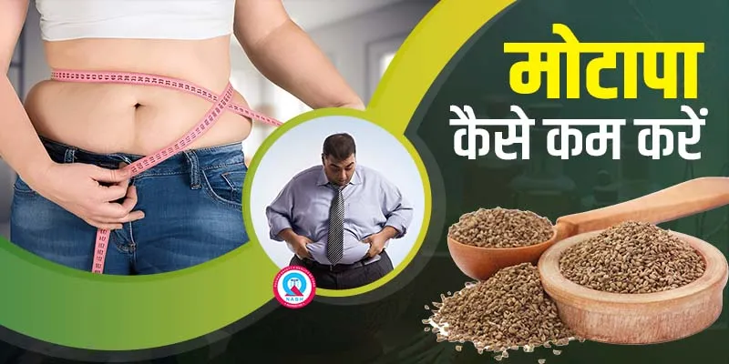 मोटापा कैसे कम करें - Motapa Kaise kam kare?