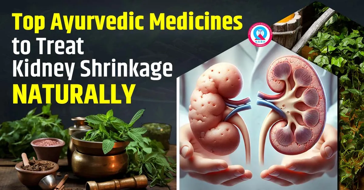 top-ayurvedic-medicines-to-treat-kidney-shrinkage-naturally