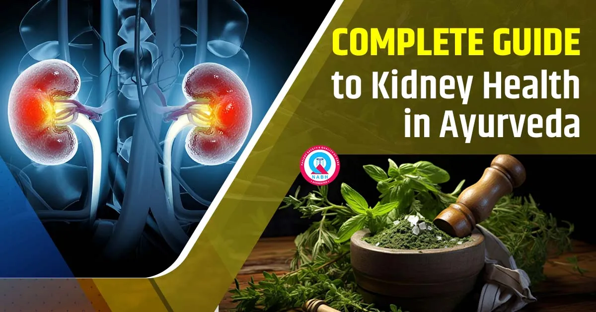 Complete Guide to Kidney Health in Ayurveda