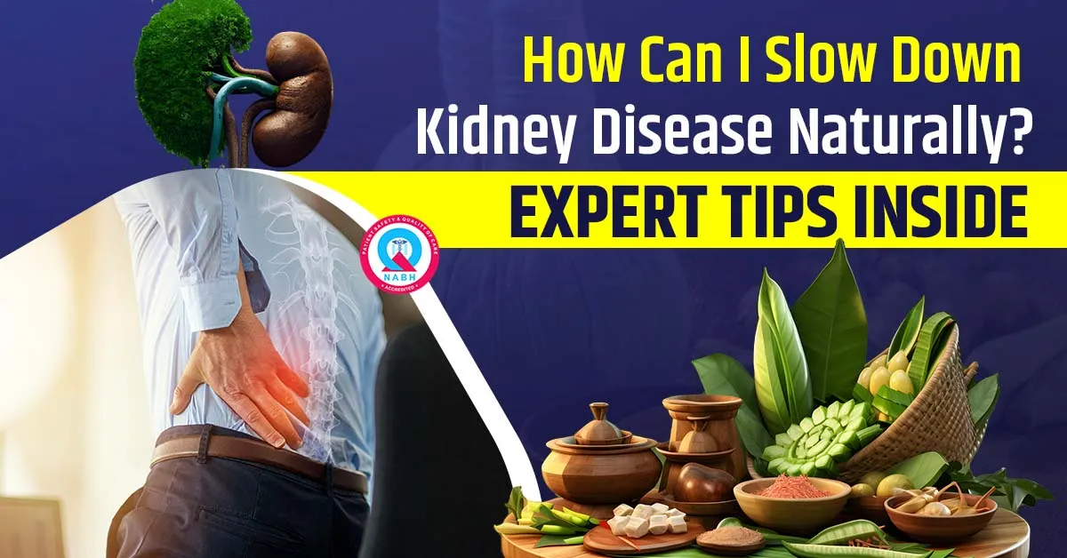how-can-slow-down-kidney-disease-naturally