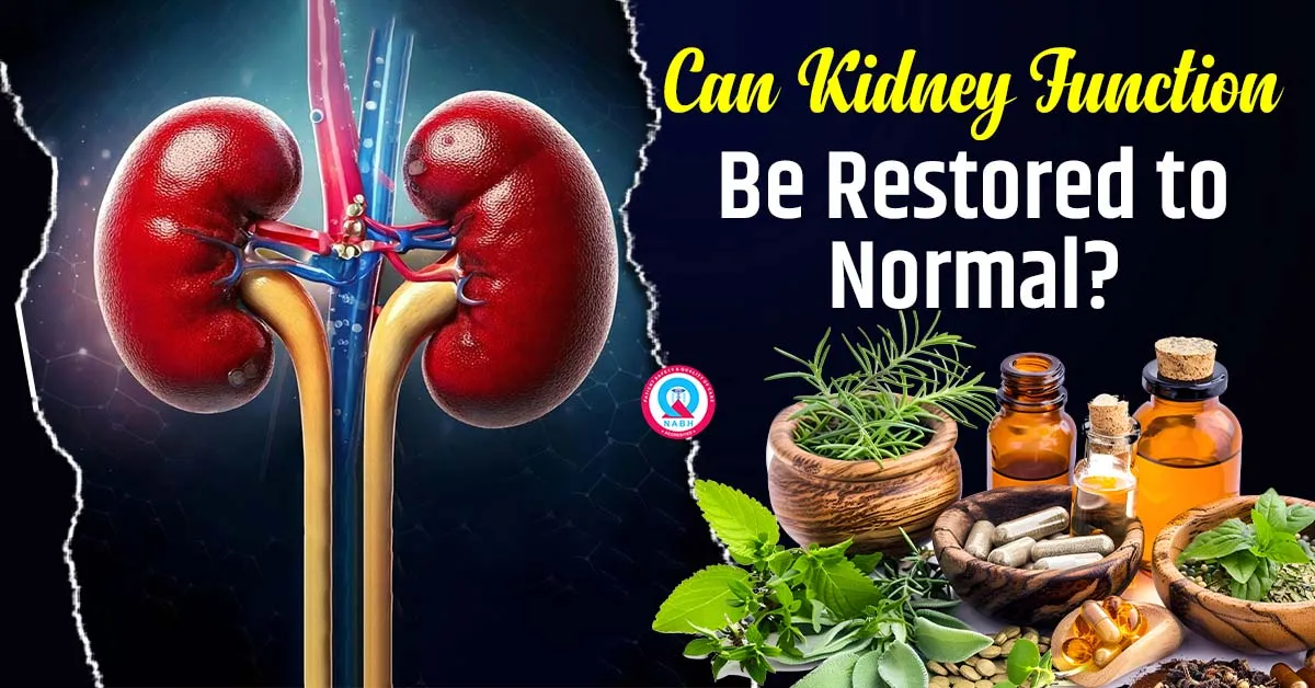 can-kidney-function-be-restored-to-normal