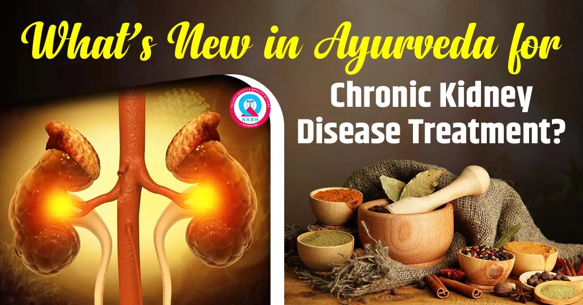 what-new-in-ayurveda-for-chronic-kidney-disease-treatment
