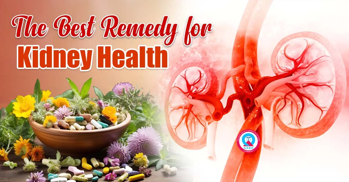 the-best-remedy-for-kidney-health