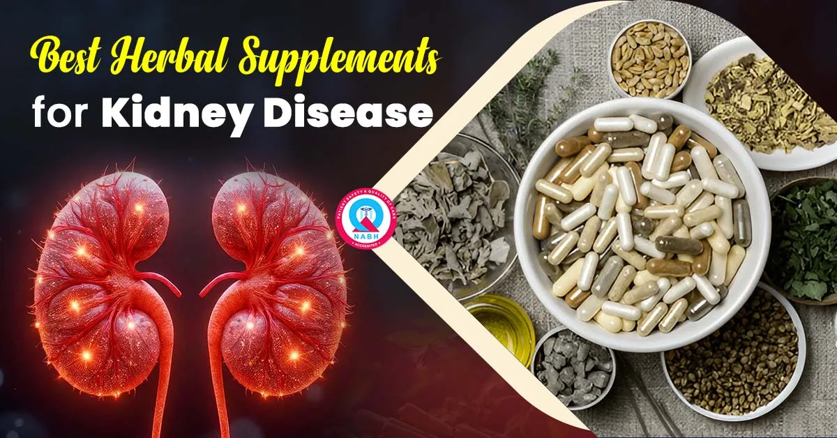 best-herbal-supplements-for-kidney-disease