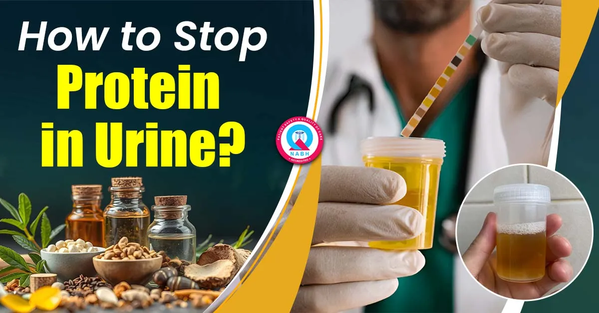 how-to-stop-protein-in-urine