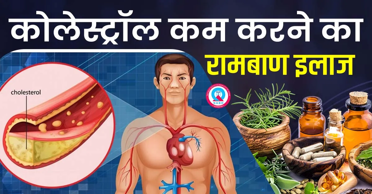 कोलेस्ट्रॉल-कम-करने-का-रामबाण-इलाज