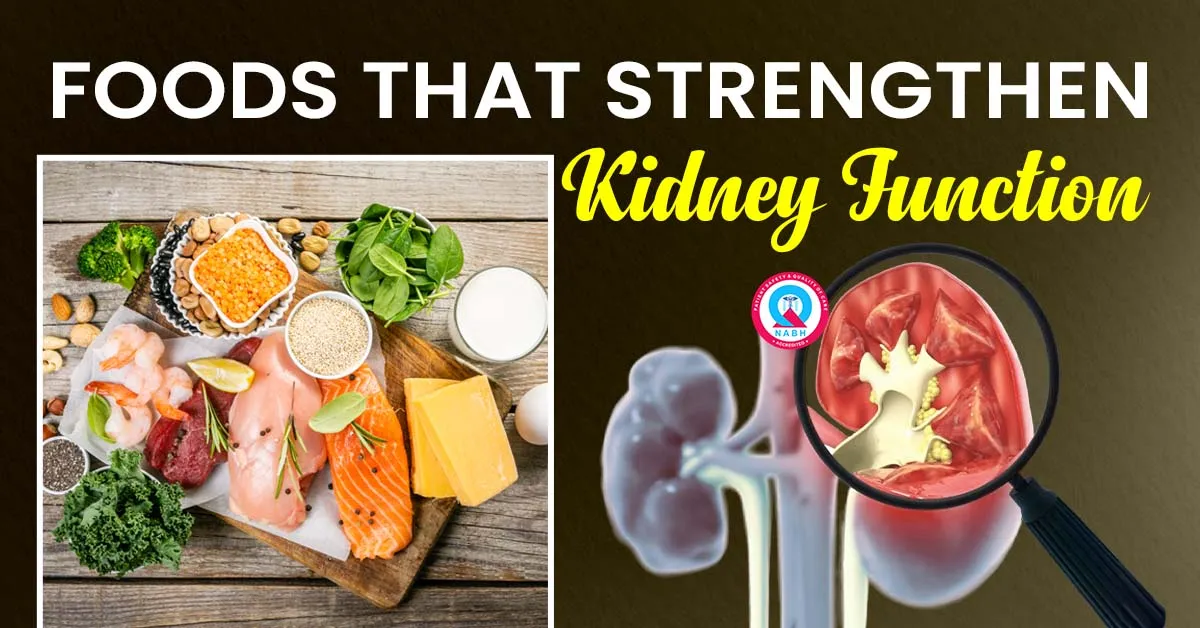 Foods That Strengthen Kidney Function – Eat Smart, Keep Your Kidneys Happy!