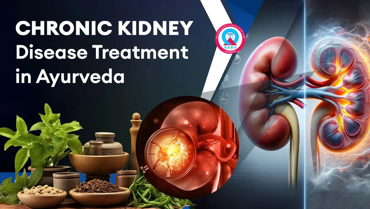 chronic-kidney-disease-treatment-in-ayurveda