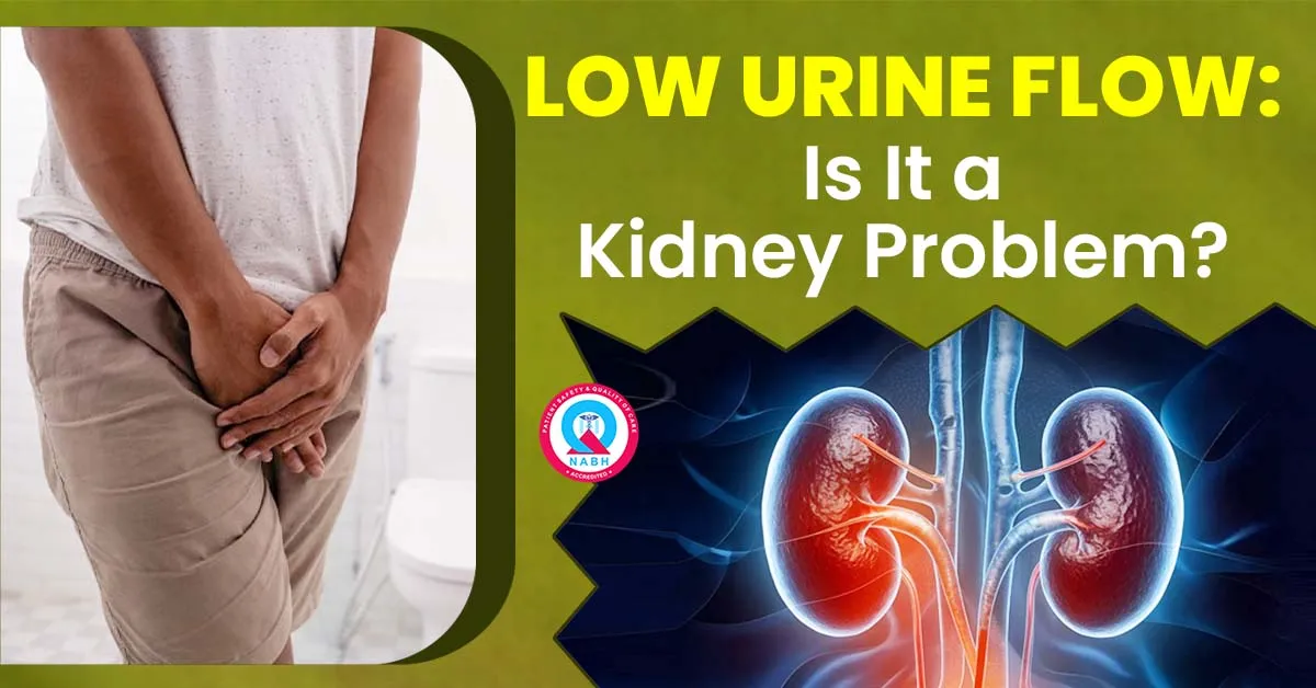 low-urine-flow-is-it-a-kidney-problem