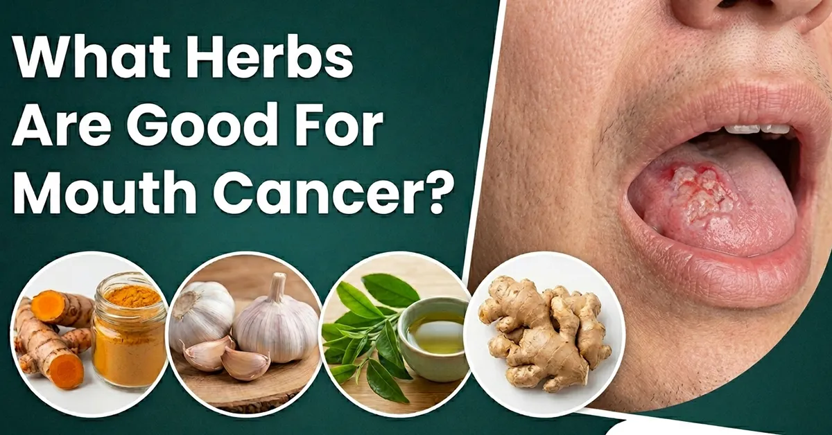 what-herbs-are-good-for-mouth-cancer