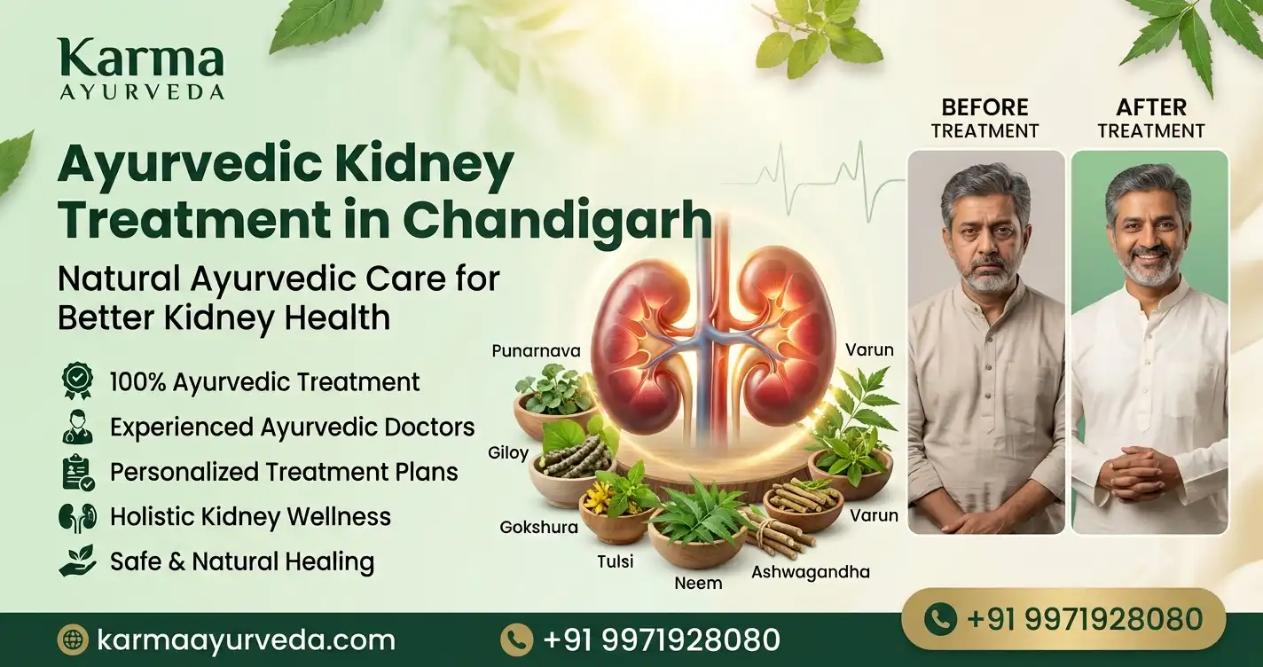 ayurvedic-kidney-treatment-in-chandigarh