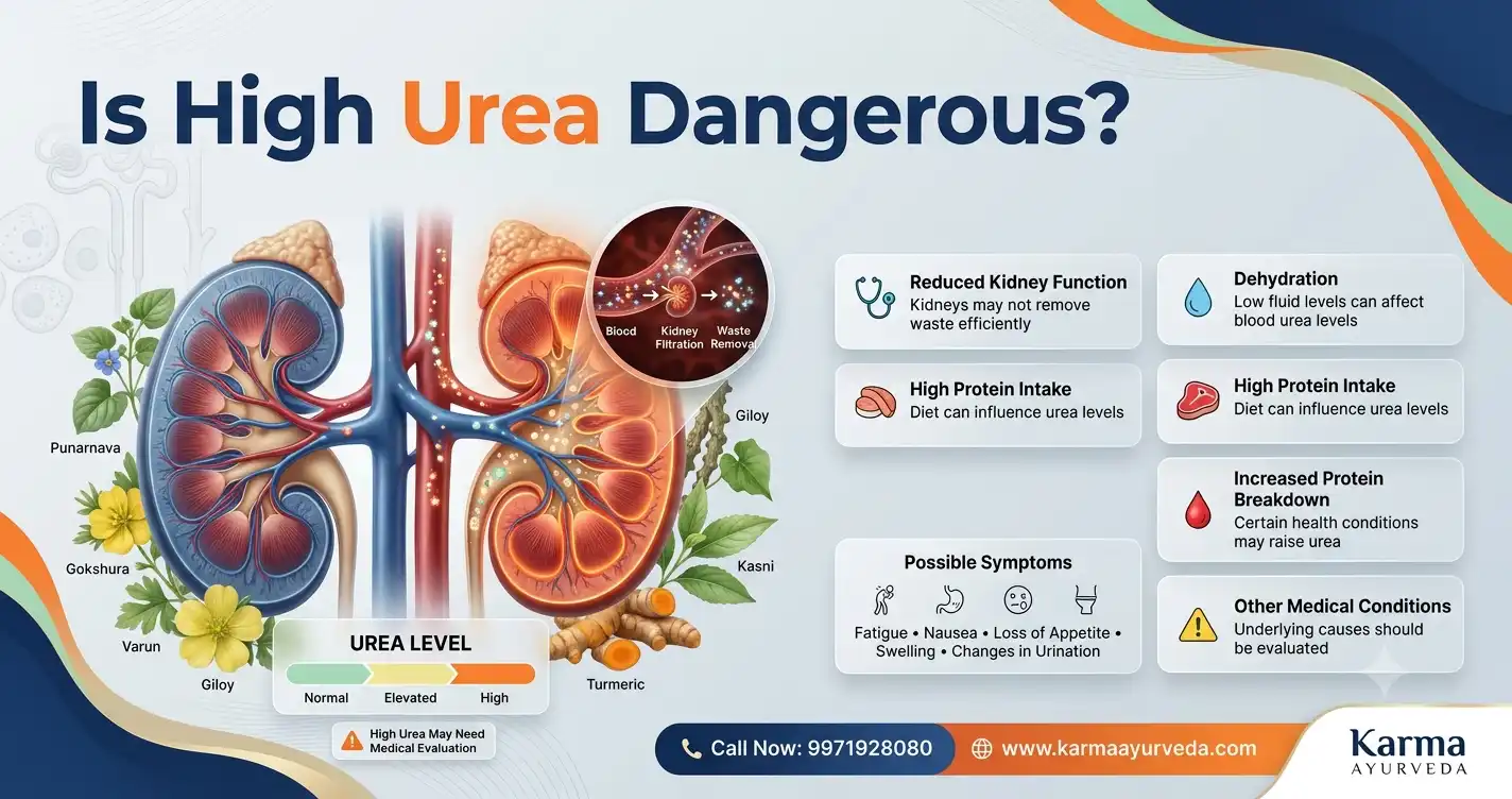 is-high-urea-dangerous
