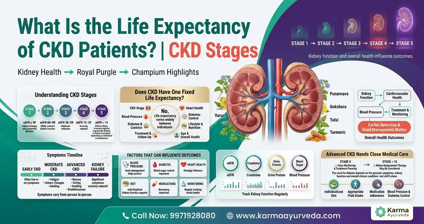 What Is the Life Expectancy of CKD Patients? | CKD Stages