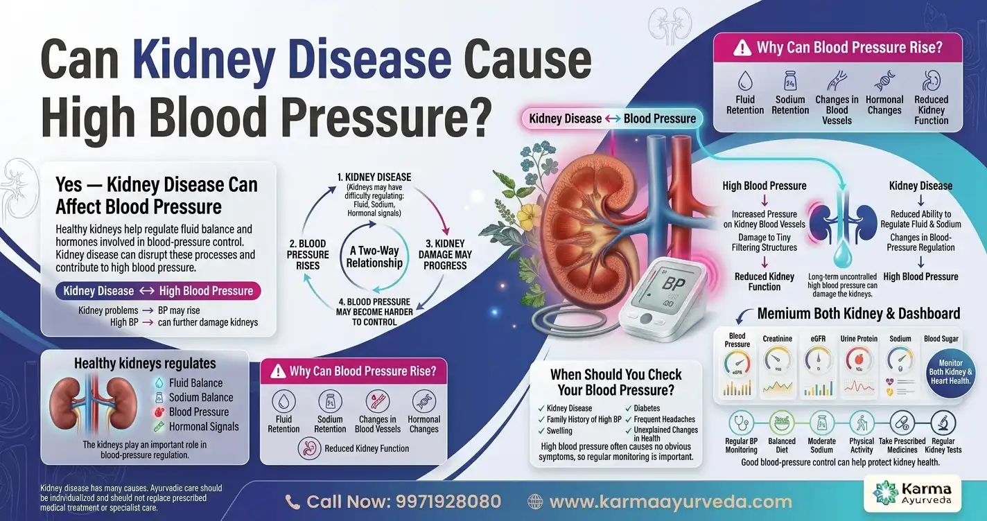 Can Kidney Disease Cause High Blood Pressure?